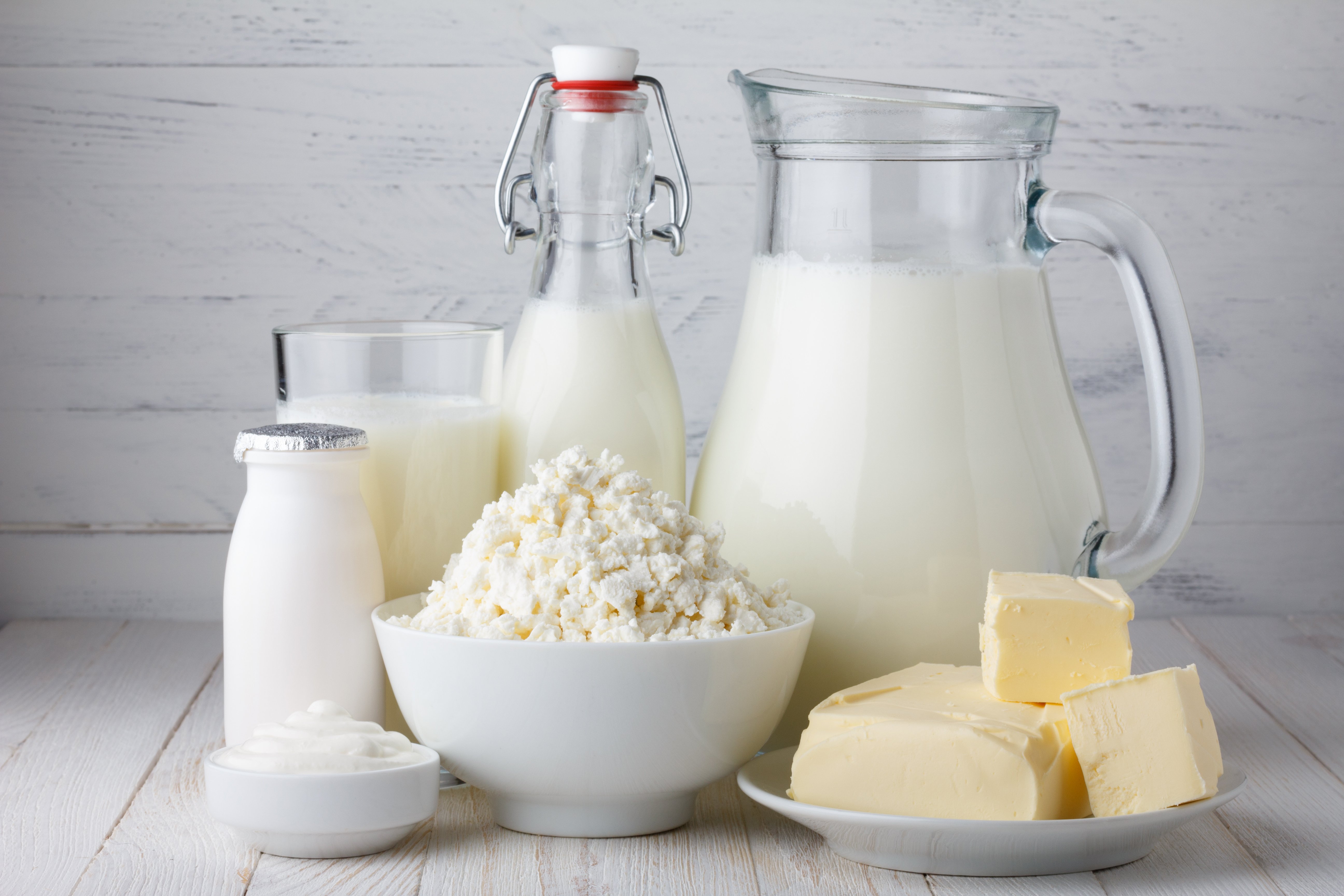 Dairy, Bread & Eggs